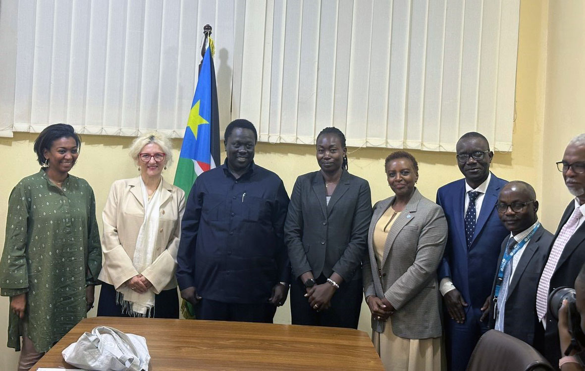 Health Minister and Partners meets VP for service cluster 